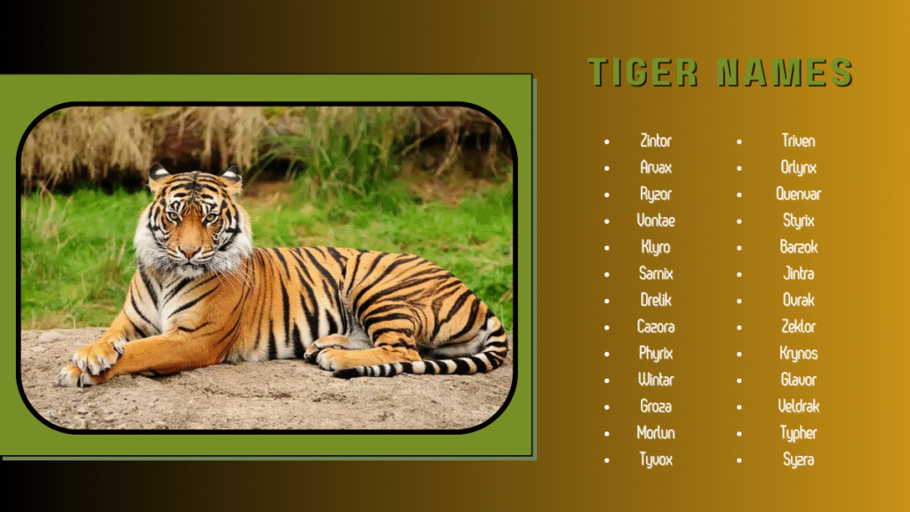 1200+ Unique and Powerful Tiger Names to Inspire Your Next Big Cat