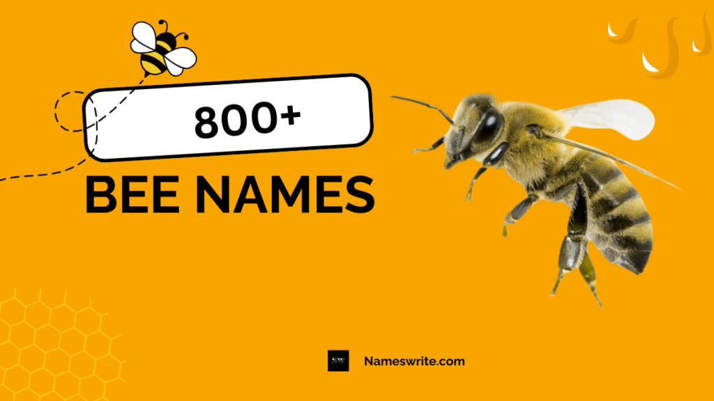 Top 800+ Bee Names: Unique & Fun Ideas for Every Buzzing Buddy
