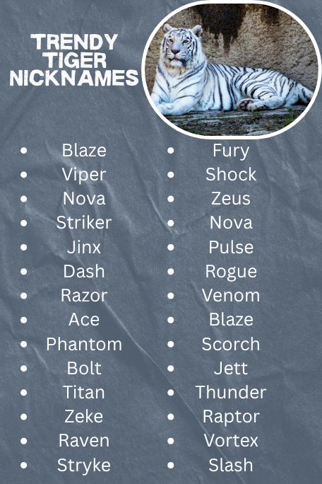 Trendy Tiger Nicknames