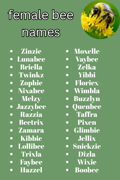 Female Bee Names