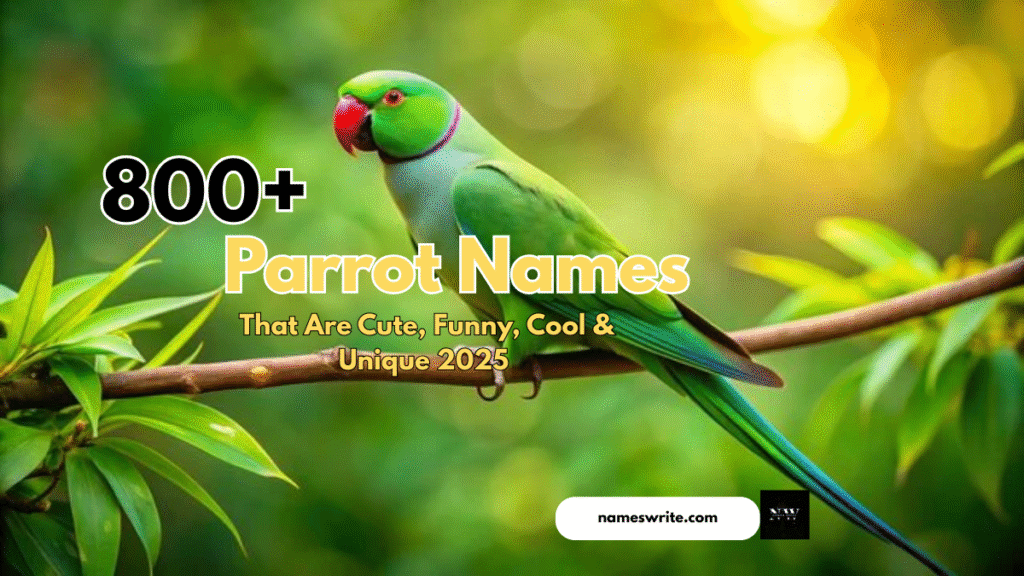 800+Parrot Names That Are Cute, Funny, Cool & Unique 2025