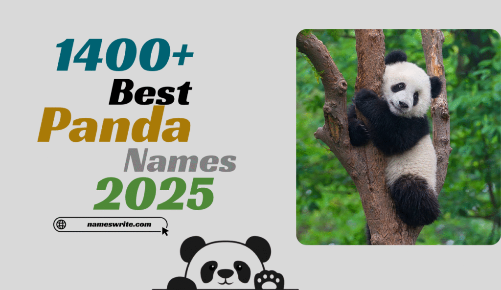 Top 1400+ Best Panda Names for Cute, Funny & Pet Pandas 2025