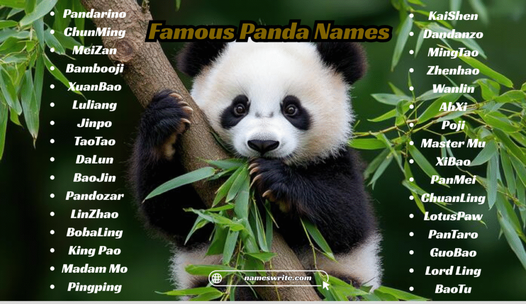 Famous Panda Names