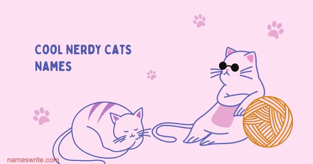 Cool Nerdy Cat Names (Catchy Ideas)