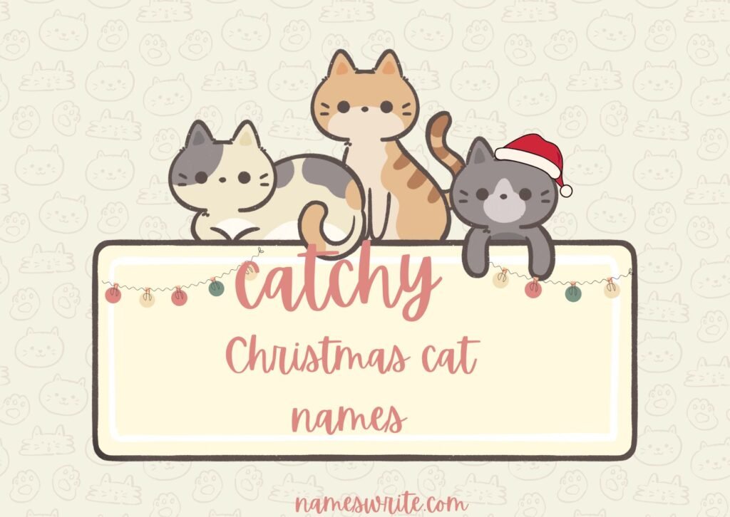 Catchy Christmas Cat Names