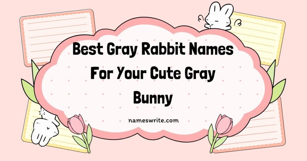 Best Gray Rabbit Names For Your Cute Gray Bunny