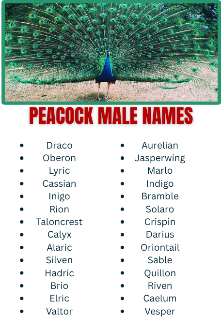 Peacock Male Names