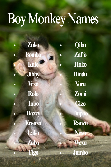 Boy Monkey Names