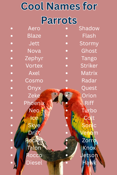 Cool Names for Parrots