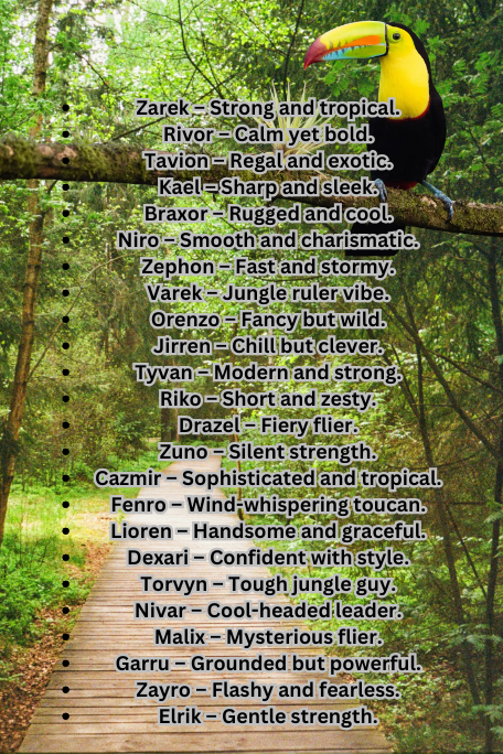 Male Toucan Names