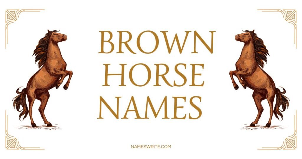 Best Brown Horse Names Cool And Catchy Ideas