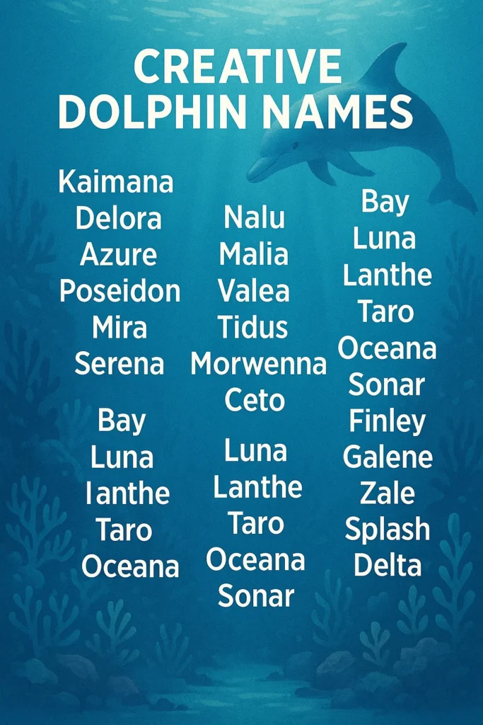 950+ Creative Dolphin Names for Pets, Aquariums & More
