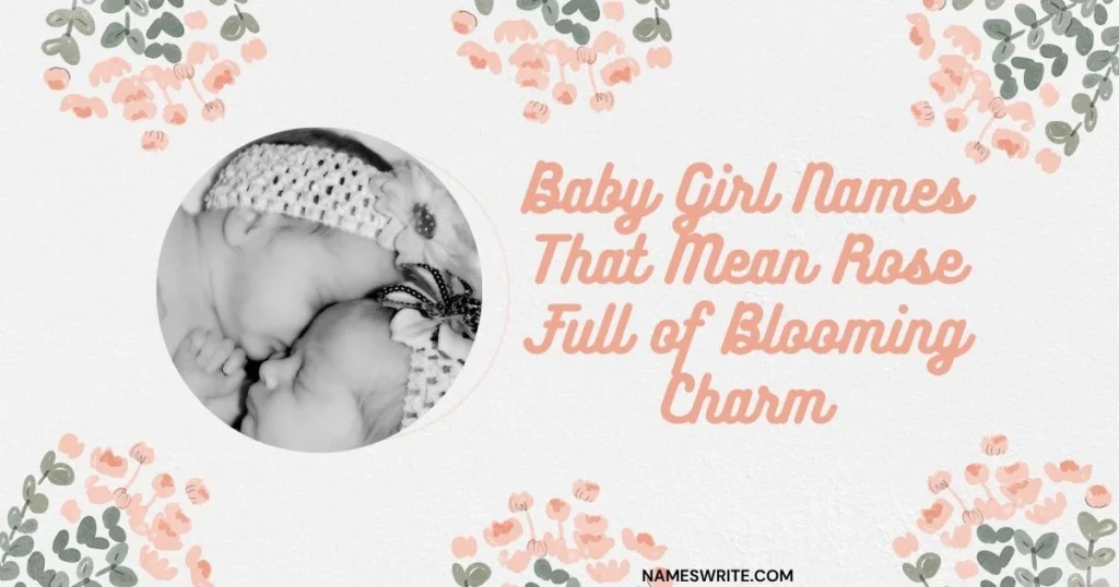 Baby Girl Names That Mean Rose Full of Blooming Charm