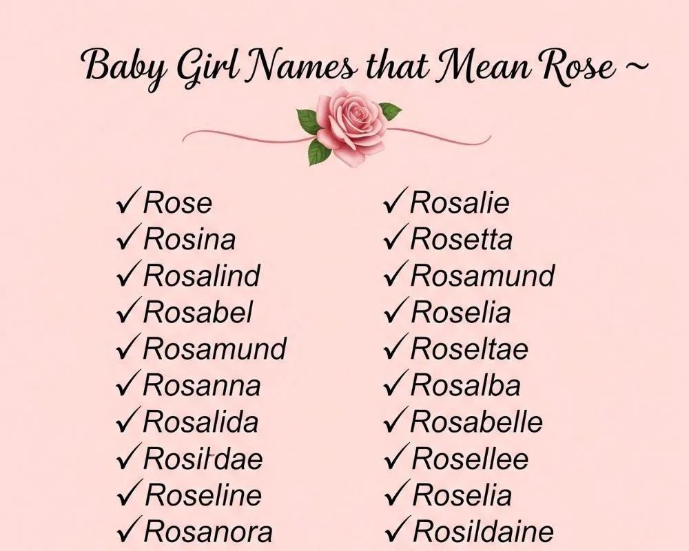 Beautiful baby nursery decorated with floral wall art and rose-themed name plaques

