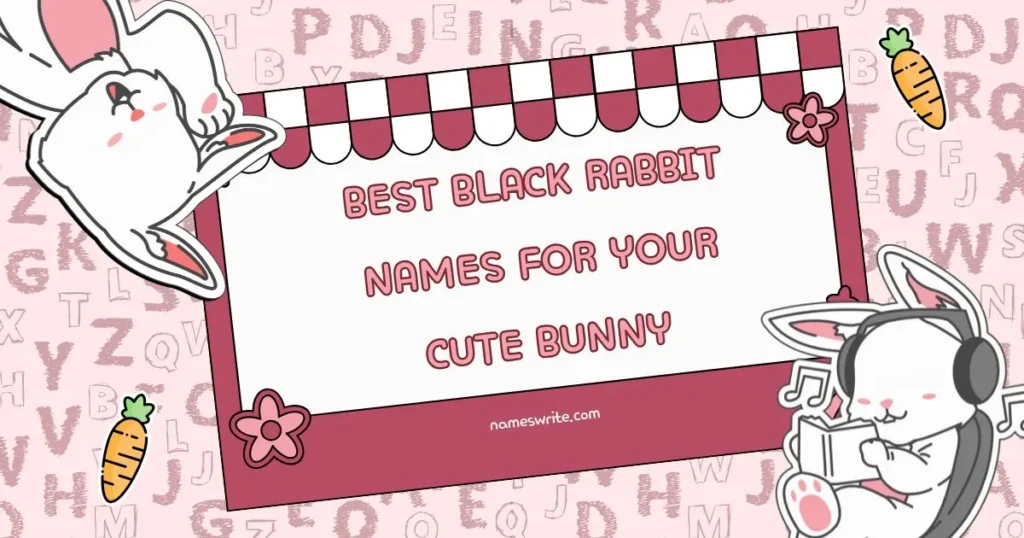 Best Black Rabbit Names For Your Cute Bunny