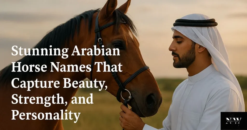 Stunning Arabian Horse Names That Capture Beauty, Strength, and Personality