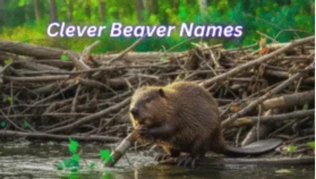 450+Clever Beaver Names for Cute, Busy, and Brilliant Beavers 450+Clever Beaver Names for Cute, Busy, and Brilliant Beavers