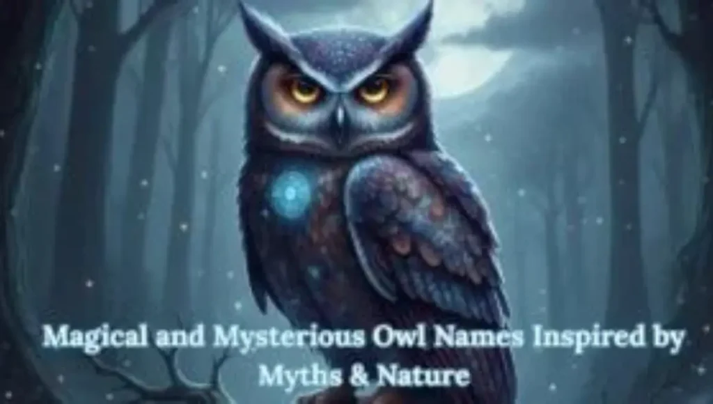 900+ Magical and Mysterious Owl Names Inspired by Myths & Nature