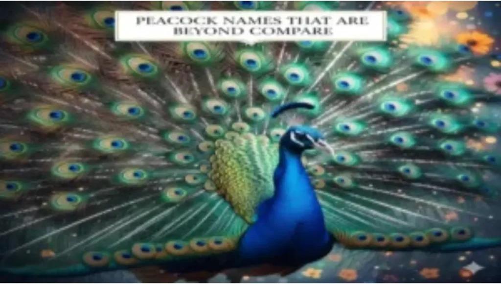 Peacock Names