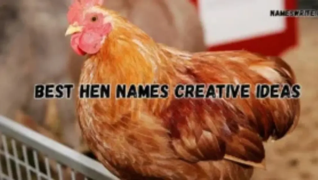 900+ Best Hen Names Creative Ideas 900+ Best Hen Names Creative Ideas