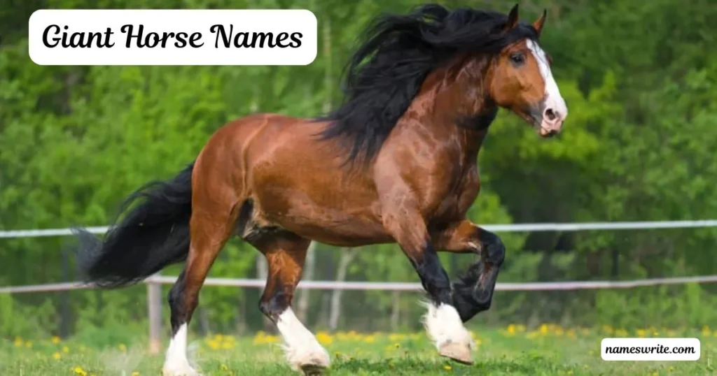 Best Giant Horse Names for Majestic Breeds