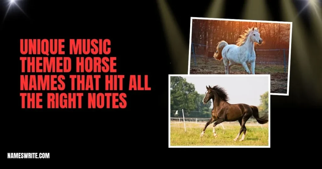Unique Music Themed Horse Names That Hit All the Right Notes