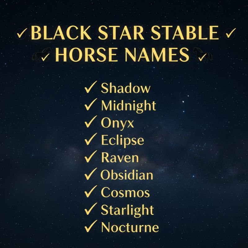 A majestic black horse in a sunlit stable, representing top horse name ideas from Black Star Stable.